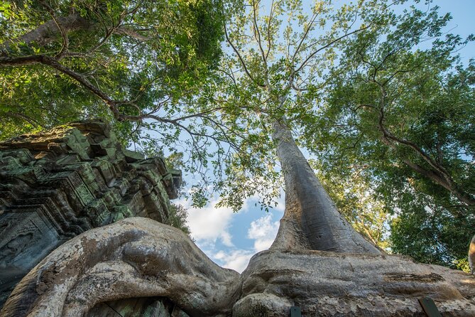 Angkor wat and Small group temples Full day tours - Angkor Thom and the face towers of Bayon