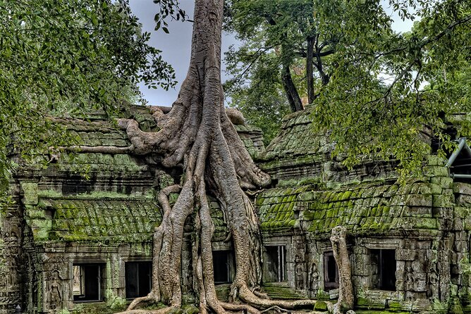 Angkor Wat, Angkor Thom & Elephant Terrace Half-Day Tours - What this Angkor half-day actually covers