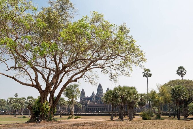 Angkor Wat, Angkor Thom & Elephant Terrace Half-Day Tours - What your guide adds to the visit