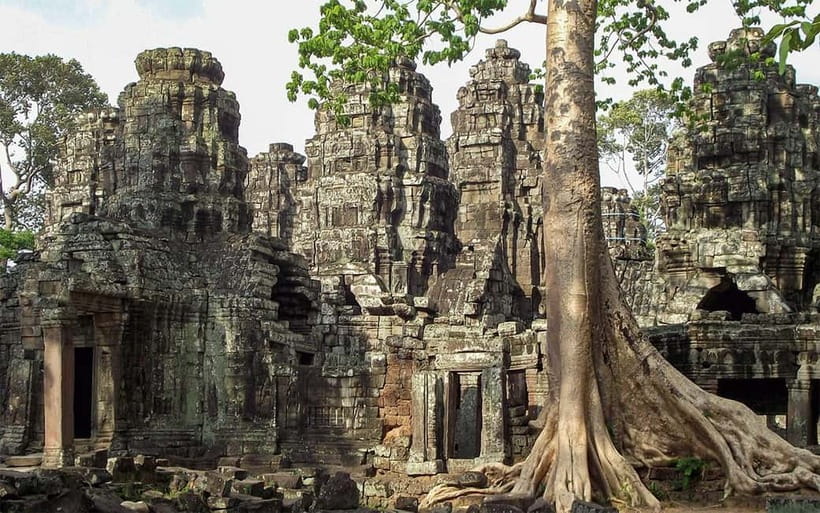 Angkor Wat: Full-Day Guided Sunset Tour - Ta Prohm: roots, ruins, and the most atmospheric stop