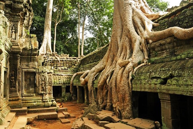 Angkor Wat full Day 'Small Group with sunset & Tour Guide - Banteay Kdei and the quiet side of the ruins