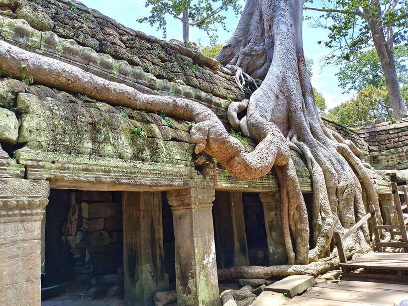 Angkor Wat: Full-Day Temples Small Group Tour - Booking details worth checking