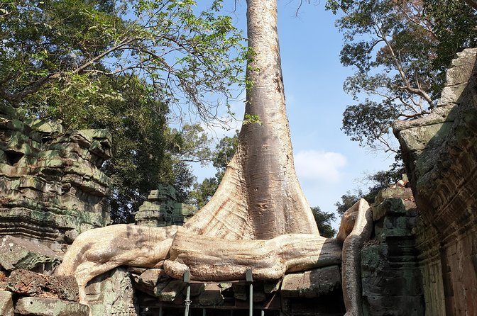 Angkor Wat Full Day Tour in Siem Reap Small-Group - Angkor Thom’s South Gate and the road into the ancient city