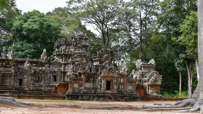 Angkor Wat Guided Sunrise Tour - Ta Prohm and the famous tree roots