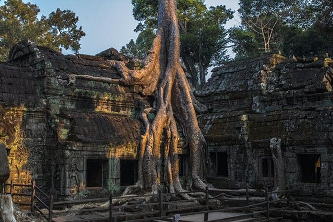 Angkor Wat highlight Tour From Sunrise -Small Group - Who will enjoy this temple circuit most