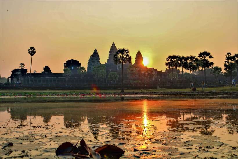 Angkor Wat: Highlights and Sunrise Guided Tour - Ta Prohm shows nature pressing through stone