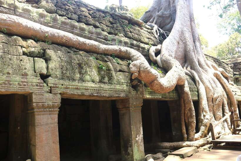 Angkor Wat: Highlights and Sunrise Guided Tour - Is the $19 price really good value?