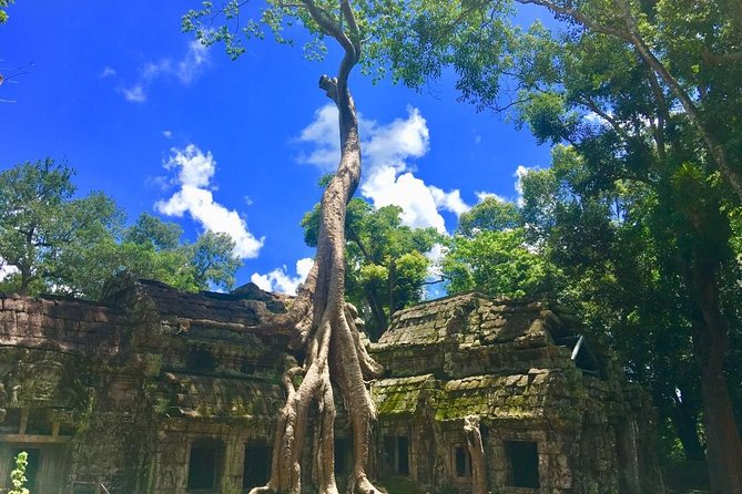 Angkor Wat one Day Private Tour for All Highlight Angkor Temples - Ta Nei provides a quieter change of pace