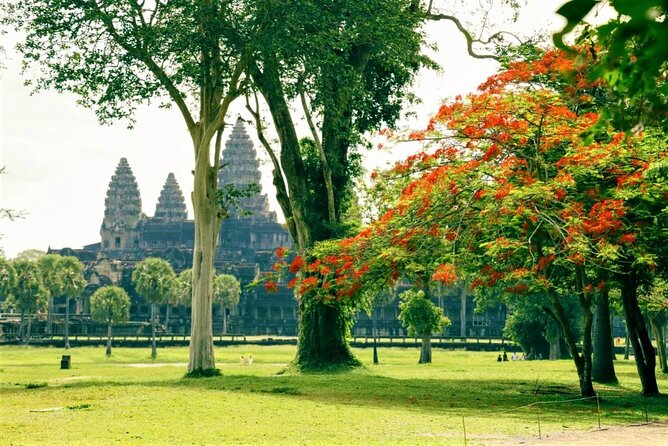 Angkor Wat one Day Private Tour for All Highlight Angkor Temples - Ta Prohm is the day’s most atmospheric ruin