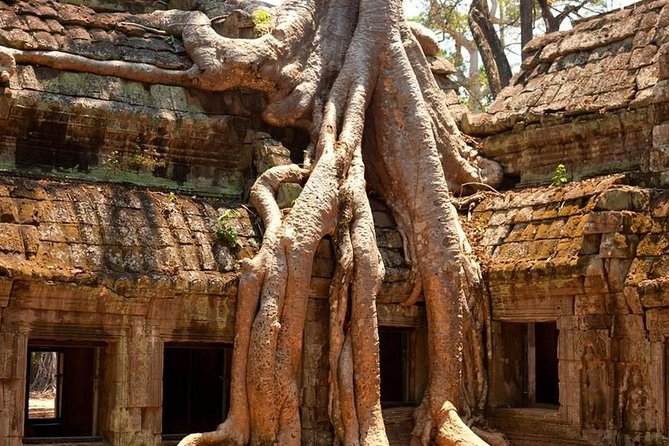 Angkor Wat Private Day Tour - Banteay Kdei gives the route breathing room