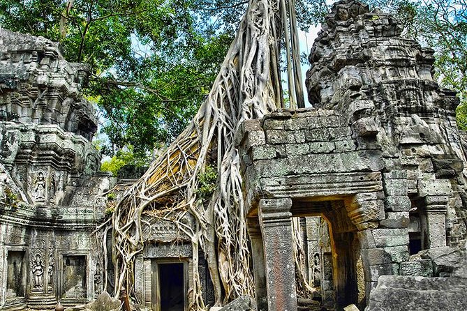 Angkor Wat Private Tour in a Tuk Tuk - Ta Prohm, roots and ruined corridors