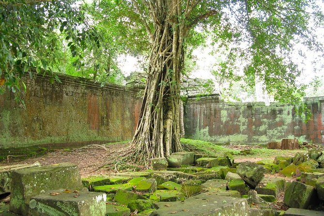 Angkor Wat Private Tour with English Speaking Driver, NO guide - Bayon’s stone faces and crowded carvings