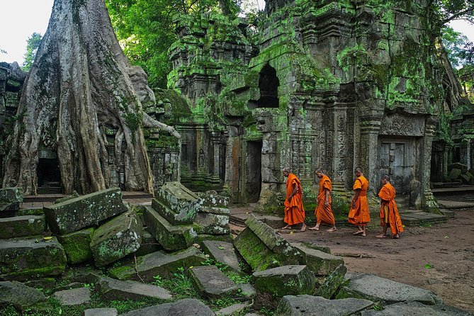 Angkor Wat Private Tour with English Speaking Driver, NO guide - Ta Prohm and the trees over the ruins