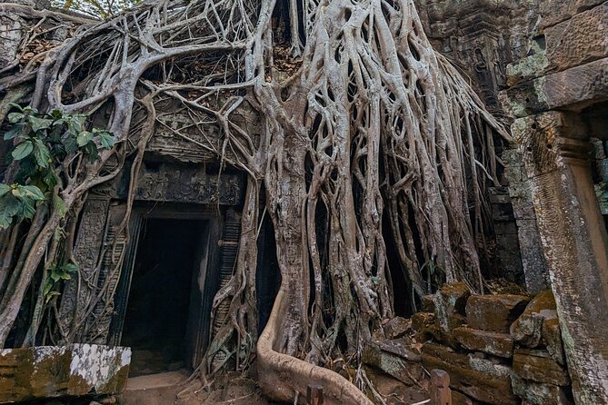 Angkor Wat Private Tuk-Tuk Tour (sunrise Option) & more - Banteay Kdei and the itinerary detail to confirm