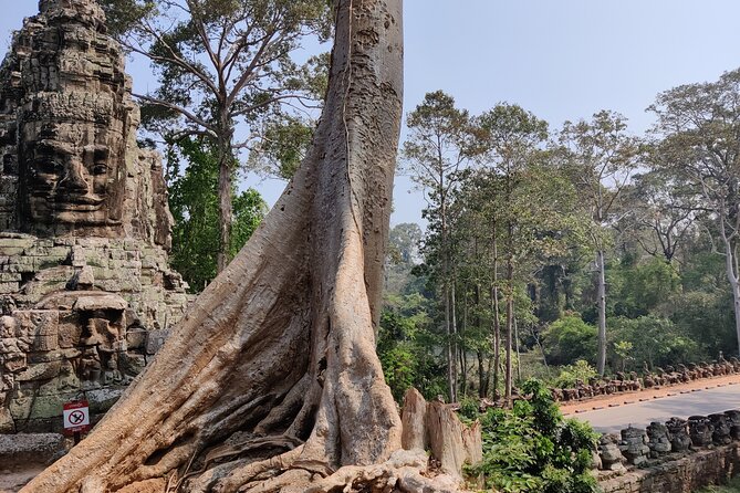 Angkor Wat Private Tuk-Tuk Tour (sunrise Option) & more - The drivers can shape the whole day