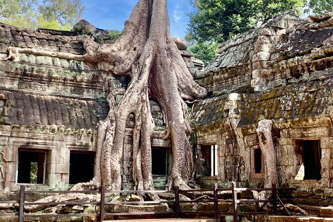 Angkor Wat Small Circuit & Sunset Tour - Ta Prohm: trees, stone, and the Tomb Raider connection