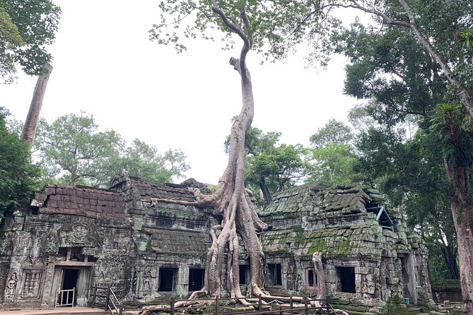 Angkor Wat Small Circuit & Sunset Tour - Transport, lunch, clothing, and the day’s practical rhythm