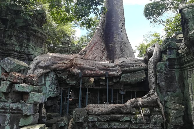 Angkor Wat Small Circuit Tour - Ta Prohm: the one-hour stop made famous by film