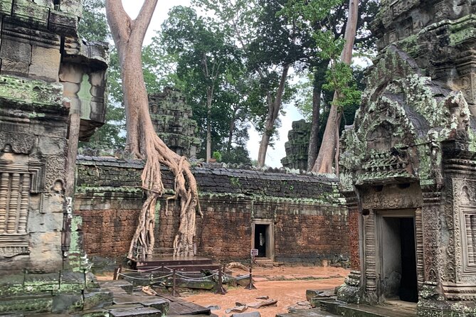 Angkor Wat Small Circuit Tour - Clothing, timing, and what to bring