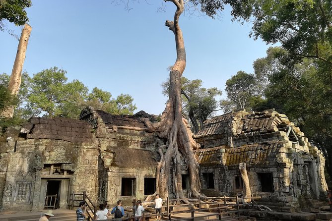 Angkor Wat Small Circuit Tour - Angkor Thom: a larger setting and a longer temple visit