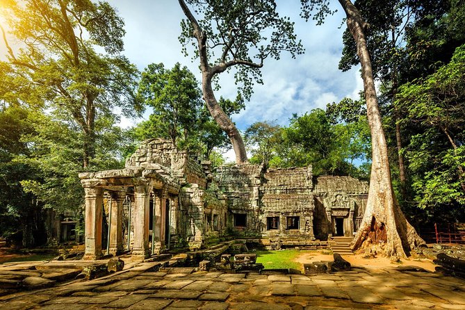 Angkor Wat Small-Group Exploration with Expert Guide - Ta Prohm brings the most atmospheric stop