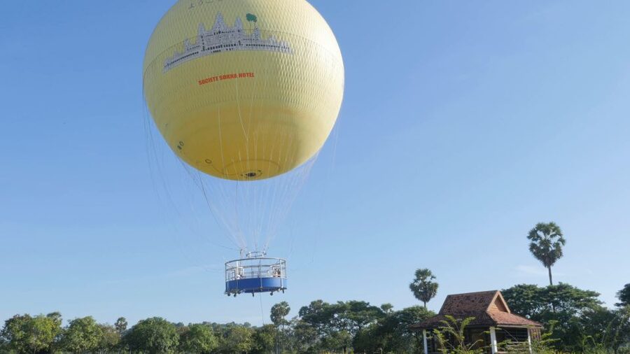 Angkor Wat: Small-Group Tour with Balloon Ride and Lunch - Ta Prohm and the trees reclaiming the stone