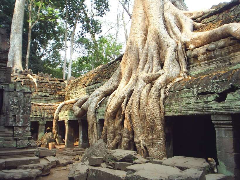 Angkor Wat: Small-Group Tour with Balloon Ride and Lunch - Starting in Siem Reap and buying your Angkor Pass