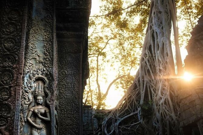 Angkor Wat Sunrise & 3 Main Temples with Breakfast – Small Group - Ta Prohm and the famous tree-covered ruins