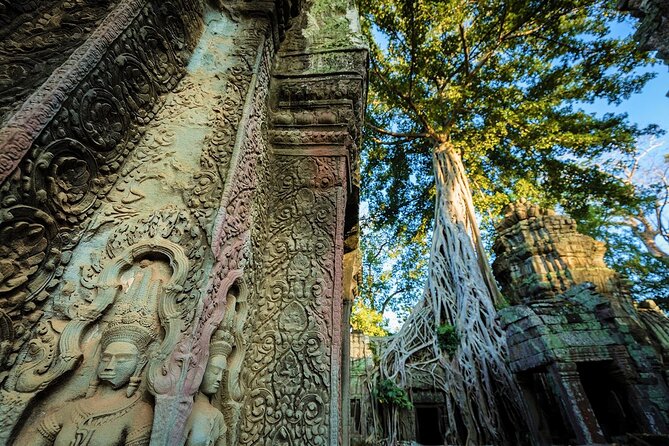 Angkor Wat Sunrise & All Highlight Angkor Temple Private Day Tour - The Terraces of the Elephants and the Leper King
