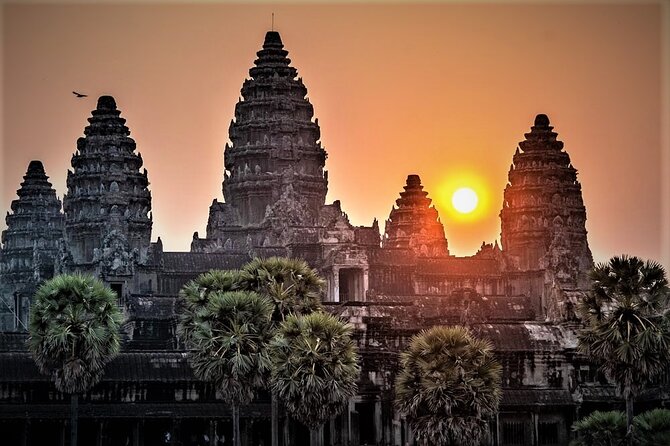 Angkor Wat Sunrise & All Highlight Angkor Temple Private Day Tour - Ta Prohm brings the famous tree roots