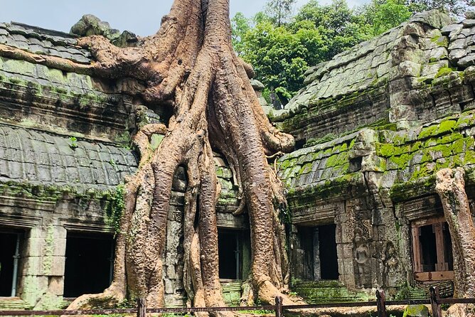 Angkor Wat Sunrise and Angkor Thom Sunset Tour - Guides, vehicles, and the private format