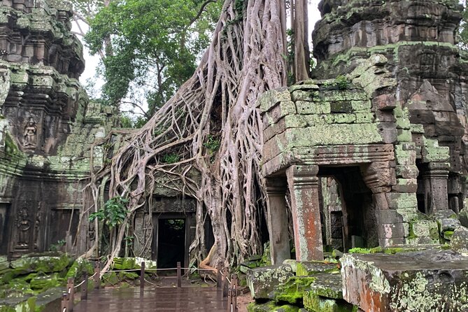 Angkor Wat Sunrise and Angkor Thom Sunset Tour - What $59 really covers