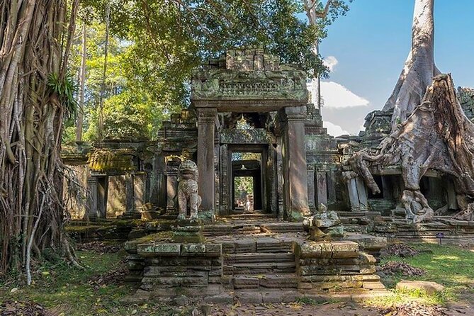 Angkor Wat Sunrise: Exclusive Private Tour! - What the private setup adds to the day
