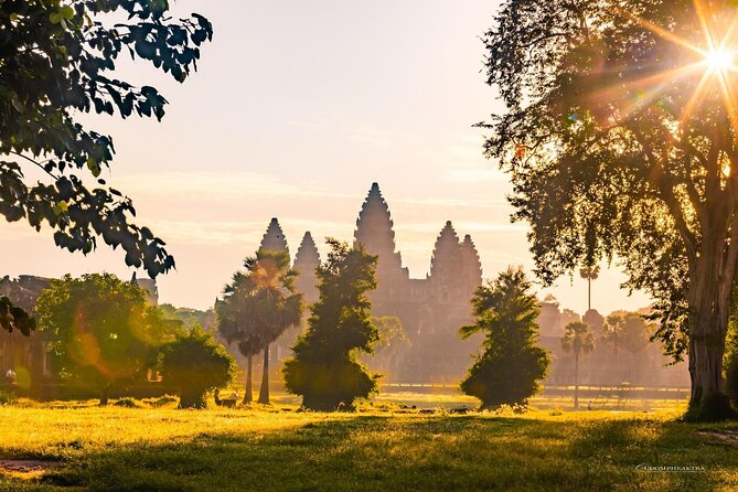 Angkor Wat Sunrise Guided Join-In Tour/Private Tour - Ta Prohm and the power of the ruins