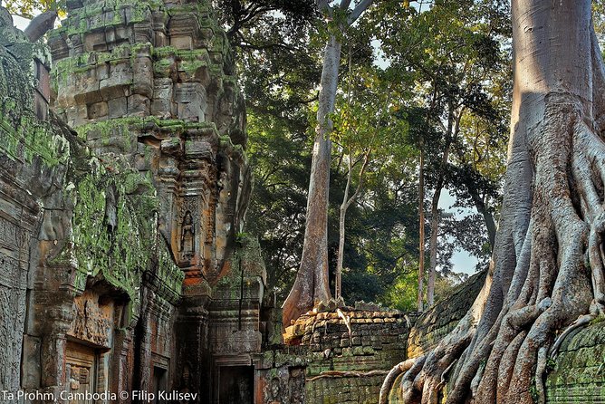 Angkor Wat Sunrise or Sunset Tour with Guide from Siem Reap - Guides make or break a temple day