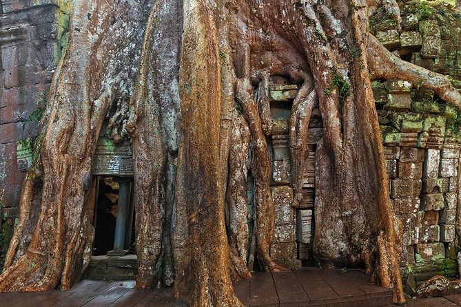 Angkor Wat Sunrise or Sunset Tour with Guide from Siem Reap - Transport, comfort, and the group size