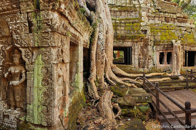 Angkor Wat Sunrise or Sunset Tour with Guide from Siem Reap - What to bring for eight hours among the temples