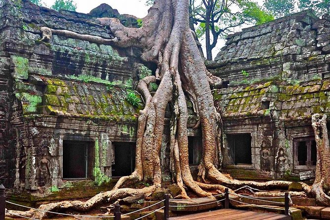 Angkor Wat: Sunrise or Sunset Tours with Tuk Tuk - Why a tuk-tuk works well at Angkor