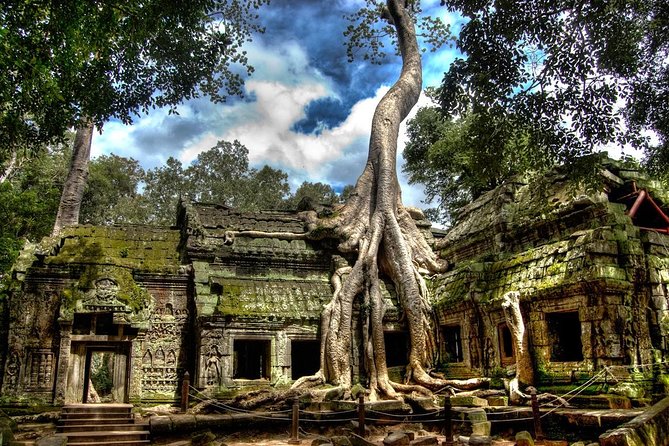 Angkor Wat: Sunrise or Sunset Tours with Tuk Tuk - The driver can shape the whole day