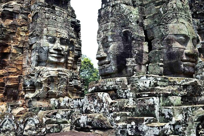 Angkor Wat Sunrise Private Experience with Guide from Siem Reap - Ta Prohm and the trees over the ruins