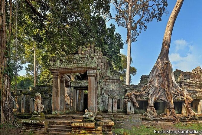 Angkor Wat Sunrise Private Experience with Guide from Siem Reap - What the private guide adds