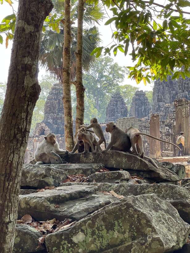 Angkor Wat Sunrise Private Full Day Tour - What the $77 price really covers
