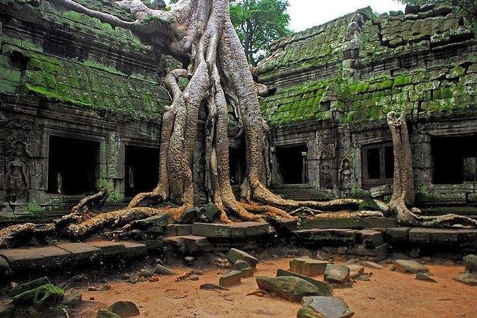 Angkor Wat Sunrise Tour - Cost, comfort, and the full day schedule