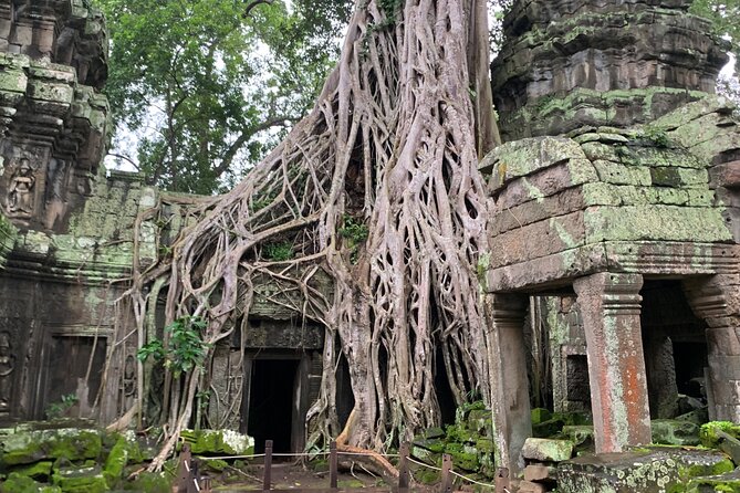 Angkor Wat Sunset TUK TUK Tour - Ta Prohm is the visual star of the afternoon