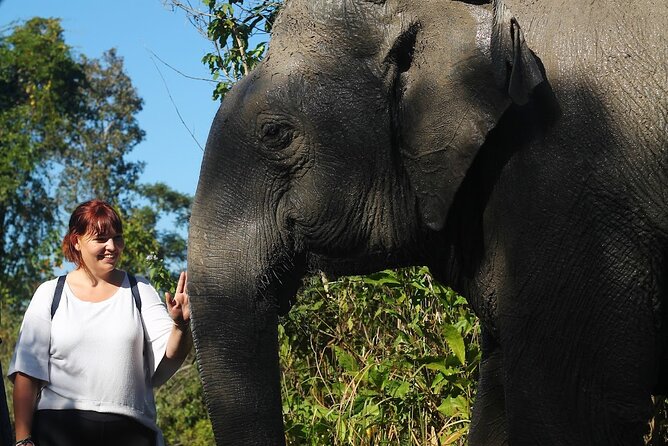Angkor Wat Temples & Kulen Elephant Forest Day Tour - Key points at a glance