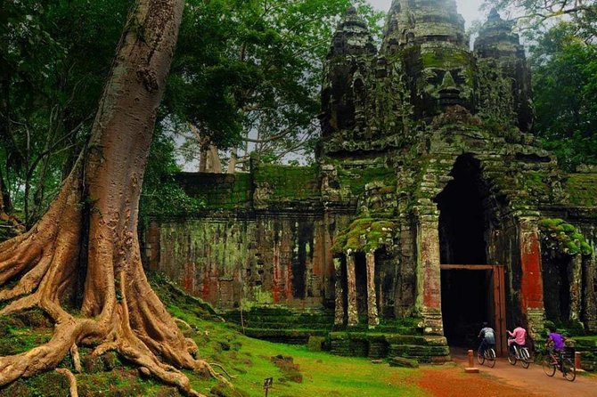 Angkor Wat Temples Tour with Entrance Ticket and Lunch - Ta Prohm and the power of tree roots