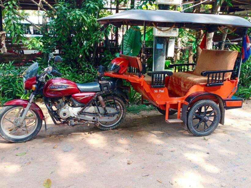 Angkor Wat Tour by Tuk-Tuk with English Speaking Driver - Ta Prohm, where trees crowd the ruins