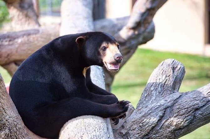 Angkor Wildlife & Aquarium Halfday tour - What your four hours look like