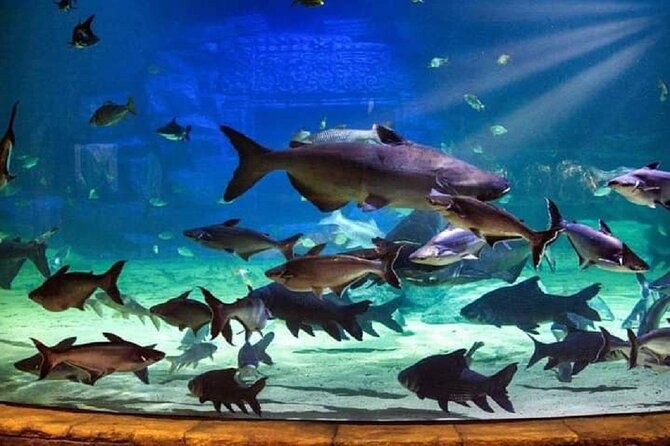 Angkor Wildlife & Aquarium Halfday tour - Is $29 good value?