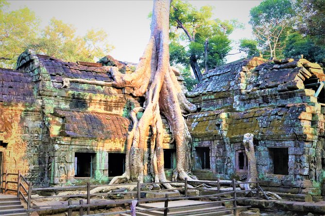 Angkor World Heritage with Sunrise - Small Group - Passing through Angkor Thom’s South Gate
